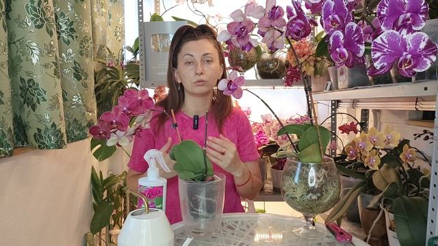 Это Реальный способ❗ СОХРАНИТЬ орхидею из МАГАЗИНА🌸