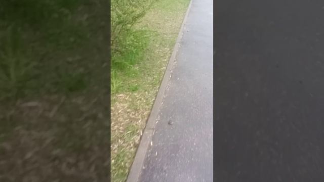 эксклюзивные видео на 10 лайков