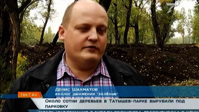 Около сотни деревьев в Татышев-парке вырубили под парковку