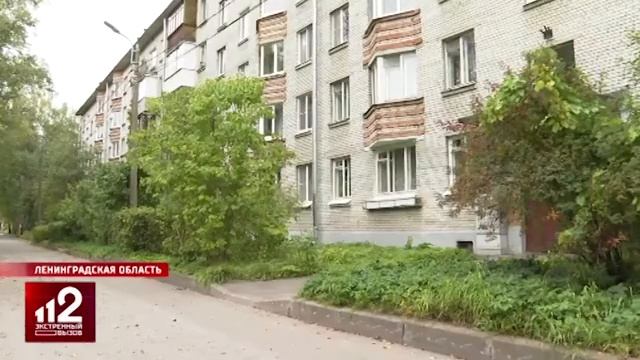 Девушка обвинила помощника депутата в изнасиловании в Петербурге