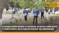 В Новоалексеевке в рамках Всероссийского субботника высадили более 100 деревьев
