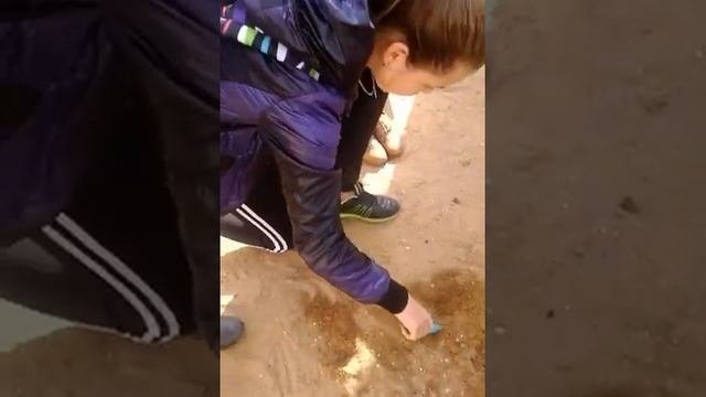 Похороны