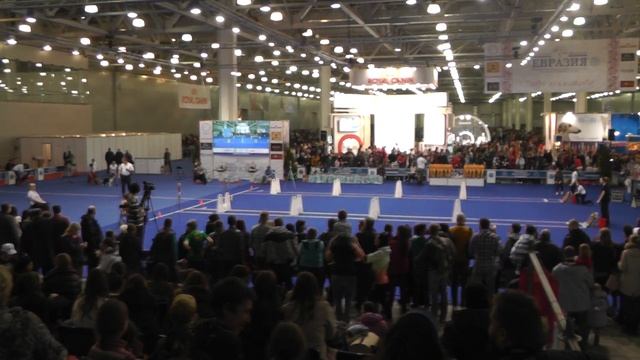 Флайбол. Чемпионат РКФ 2015 г.