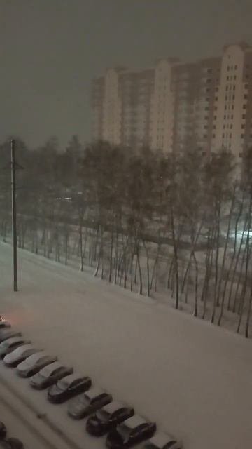 Снег пошёл#россия #снег#будьтедобрее