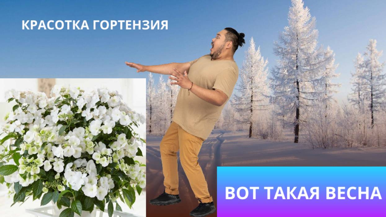Вот такая весна 🌱
