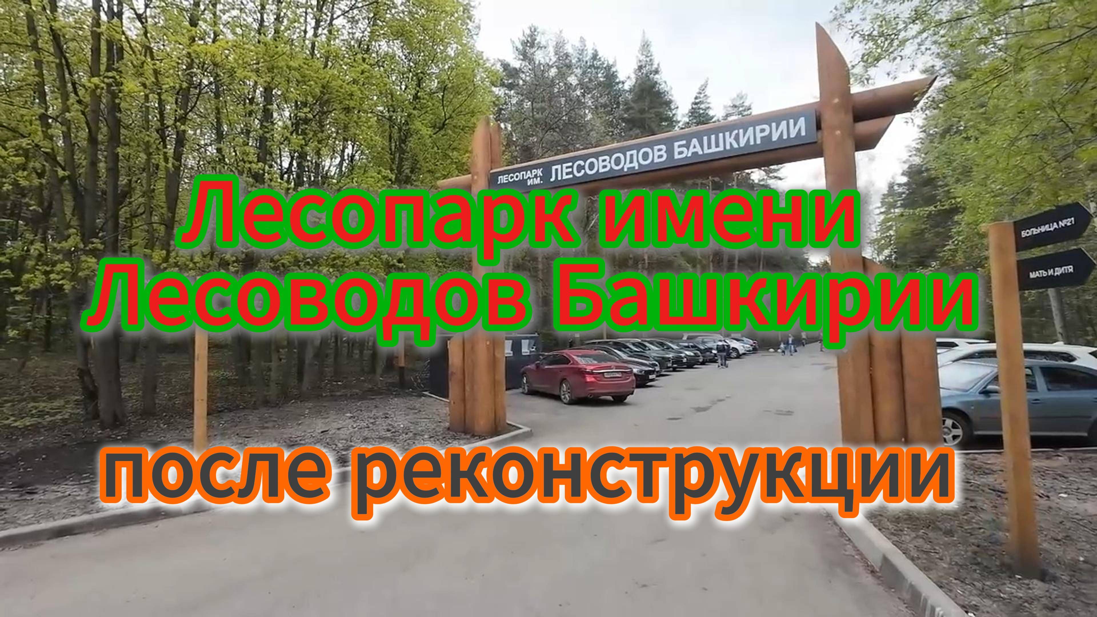 Лесопарк имени Лесоводов Башкирии, первая прогулка, медведи большие и маленькие, #2