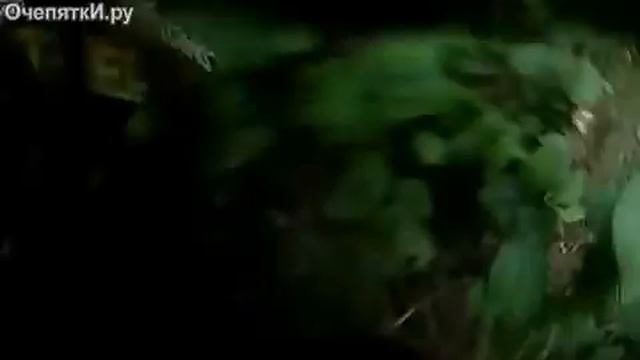 Неожиданный поворот на трассе