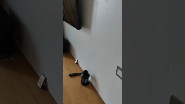 ремонт квартира в Москве наш WhatsApp +79771147829 unus