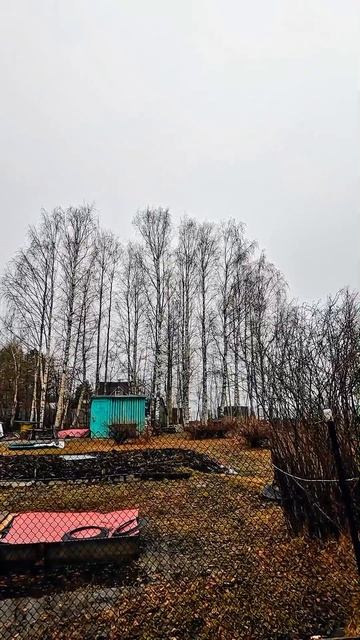 Доброе,весеннее утро 😉 #природа