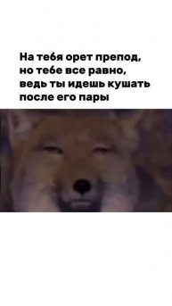 Главное, что мы поели