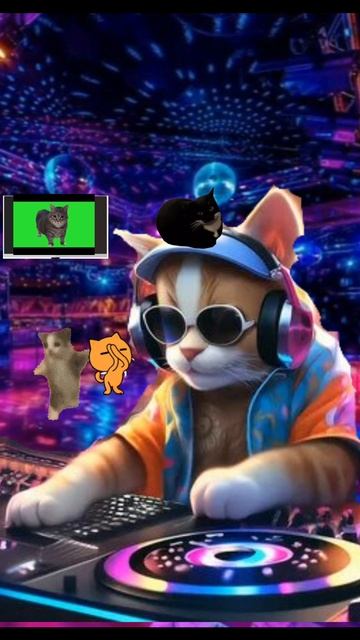 коты флексят
