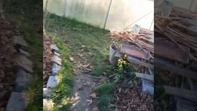 Дачные выходные на 13 и 20 ноября !!!