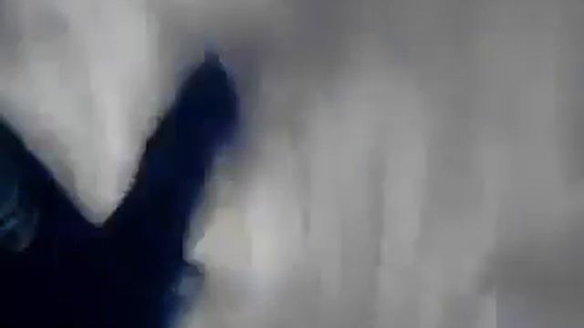 Пацан подстригся или наше бешенство.240.mp4