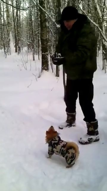 Игра в снежки