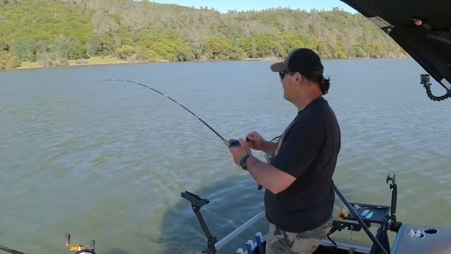Trout Tactics: "Trolling Flies Are My Rapala"  Cal Kellogg