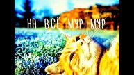 Видео "404"
