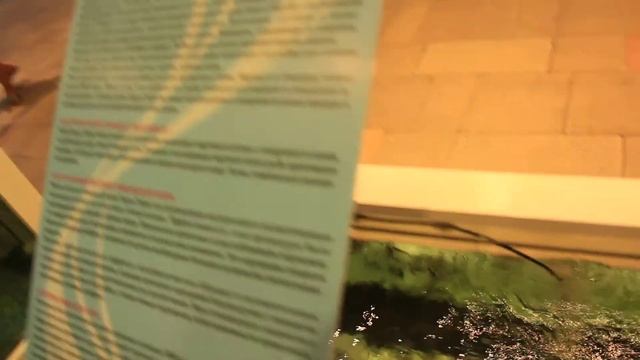 центр фестиваль паттая