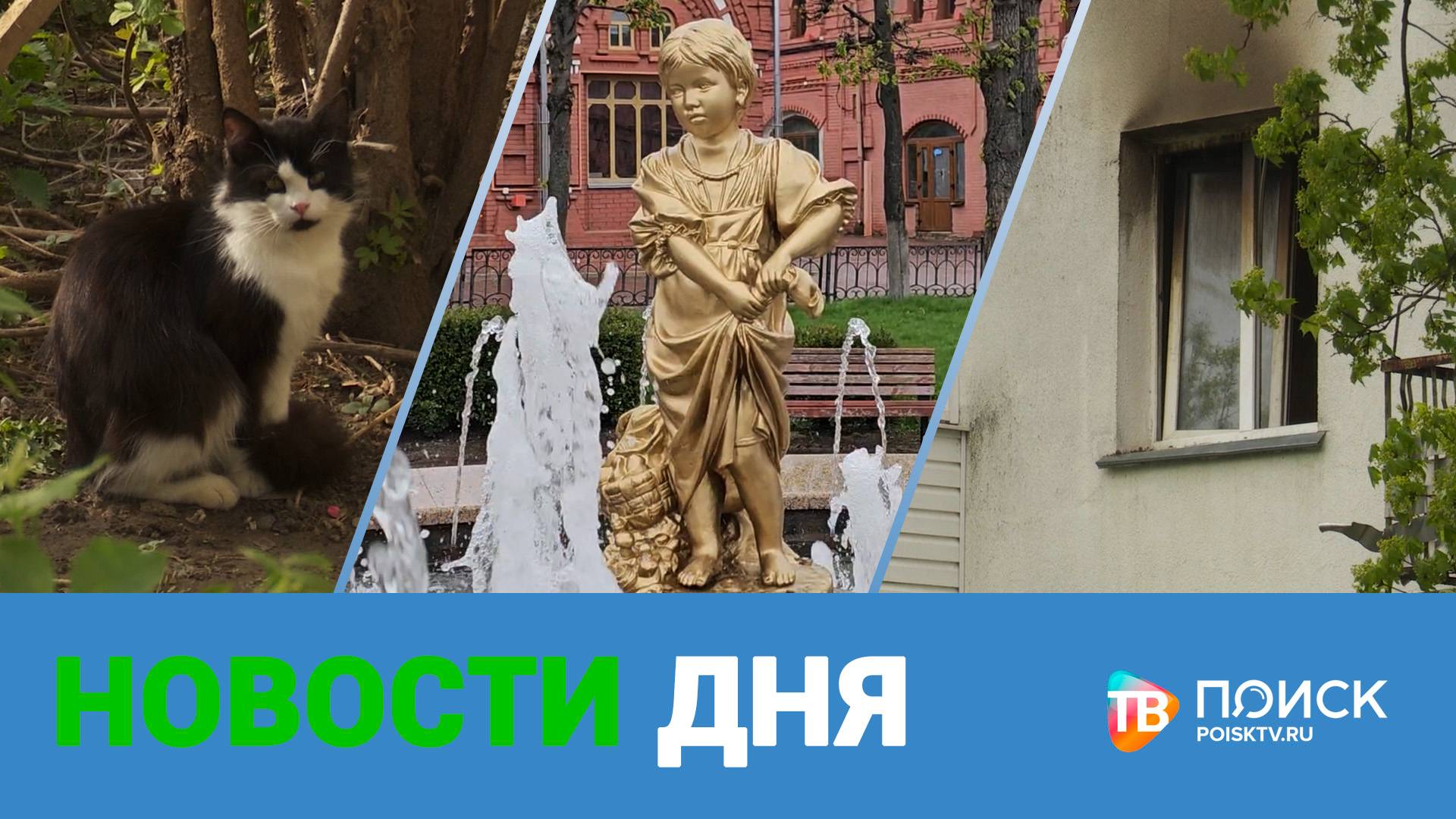 Клин. Новости дня 29.04.25