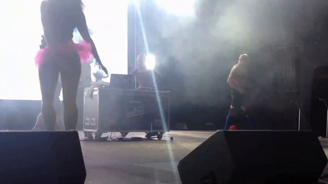 Зов Полесья 2014 DJ Аля