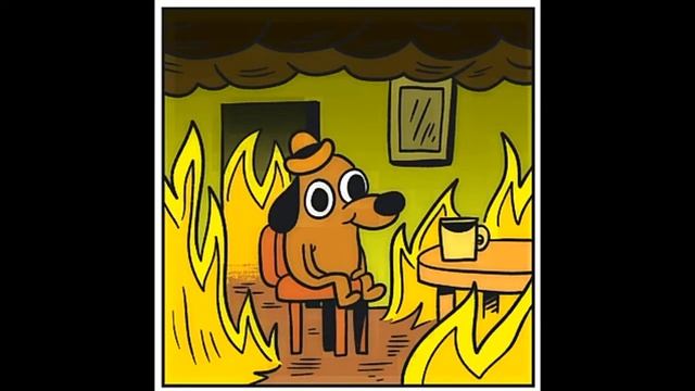 This is fine (C Мясом) / THIS IS NOT FINE (Без Мяса)