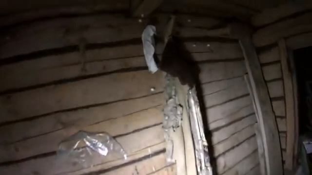 ЗДЕСЬ ЖИЛИ ПРОФЕССОРЫ, АКАДЕМИКИ, ХУДОЖНИКИ. Заброшенная деревня на севере Яросл
