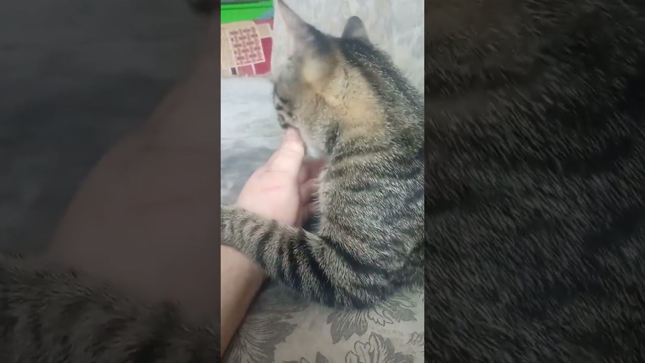 ностальгия