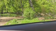 УДАЛЯЕМ СО СТЕКЛА АВТОМОБИЛЯ КЛЕЙ ОТ НАКЛЕЙКИ И ТОНИРОВКИ