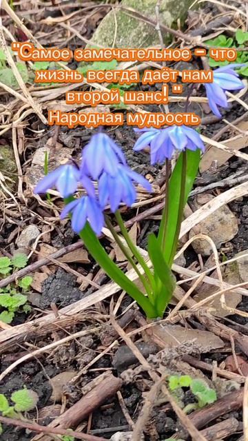 Второй шанс. Народная мудрость