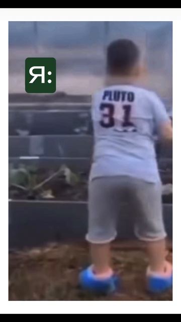 Дома и бани