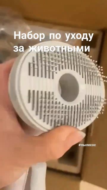 Очень удобный в использовании #животные #собака #шпиц #pomeranian