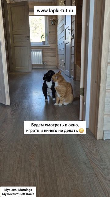 майские праздники
