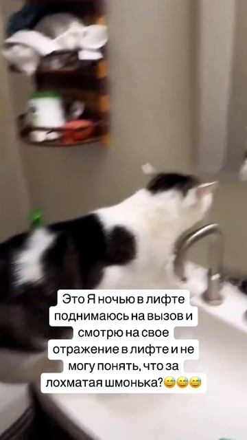 Медсестра  Чебоксары новости : оперативно, актуально :