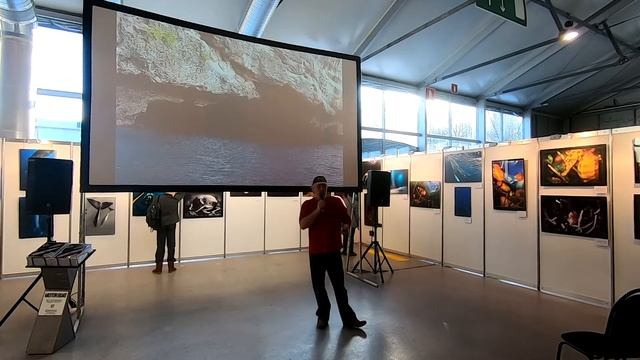 Moscow Dive Show 2020. Андрей Невзоров. Жизнь под парусом