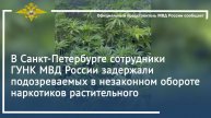 В Санкт-Петербурге задержаны подозреваемые в незаконном обороте наркотиков