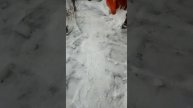 За чем и куда убирать снег)