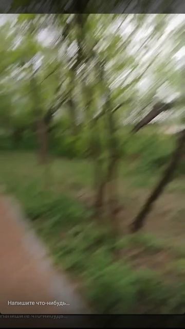 1000057214.mp4