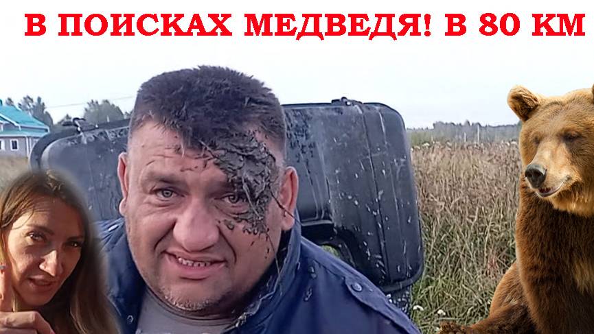 В поисках медведя в 80 км от Москвы