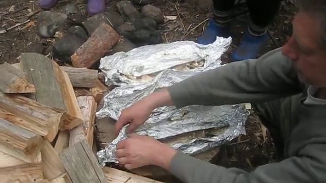 отдыхаем в лесу - щучки запеченые в углях