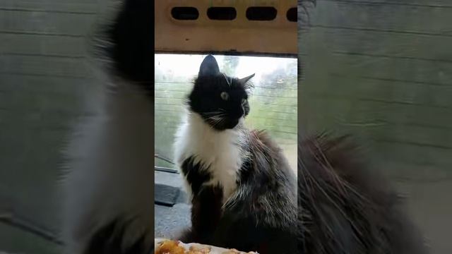 Пробуждение природы: Жизнь после зимнего сна