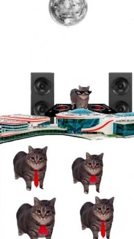 Танцующие коты из ОЦ Когалым