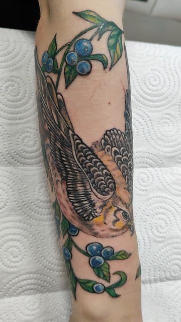 тату Сокол в чернике.mp4