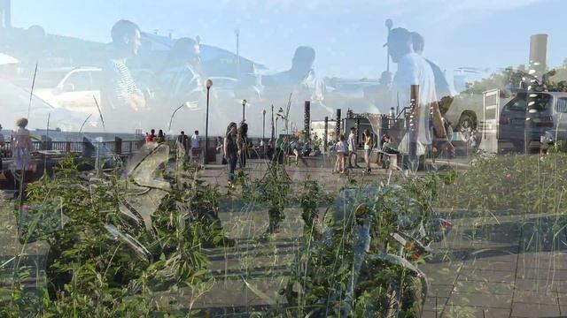 Владивосток прогулка в погожий вечер.