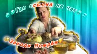 Мукбанг Пюрешка с котлеткойГде ссылка на чат Как обстоят дела по «Сокол Жрёт»