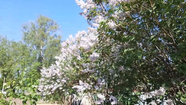 Мой  обычный учебный день//Учеба в КГАВМ🌸