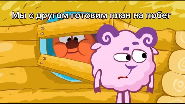 прикольные и смешные видео Смешарики