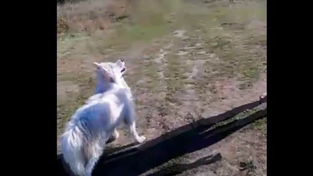 Последние деньки лета!