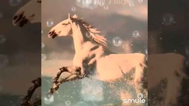 Нева