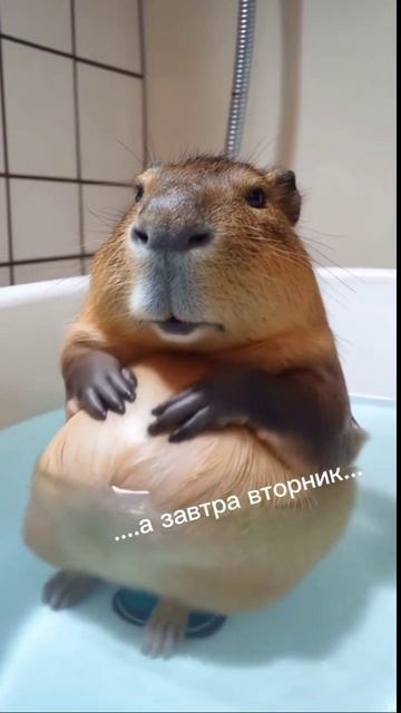 Понедельник...вторник...пятница?))