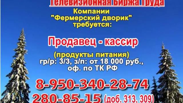 13 февраля _13.15_Работа в Нижнем Новгороде_Телевизионная Биржа Труда