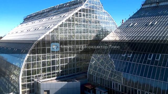 Полёт на дроне  теплицы на ВДНХ